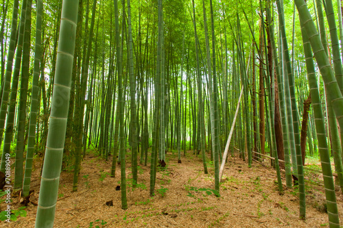Fototapeta japonia zen niebo spokojny bambus