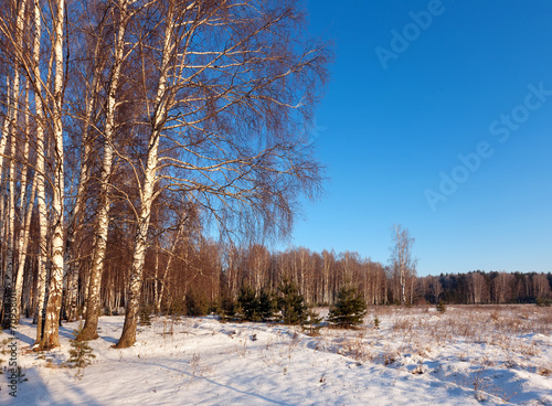 Obraz na płótnie śnieg wiejski pejzaż spokojny