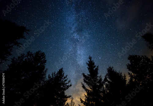 Plakat drzewa galaktyka las wszechświat gwiazda