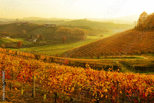 Fotoroleta krajobraz jesień wino śruba