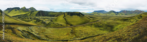 Naklejka natura islandzki wzgórze mech