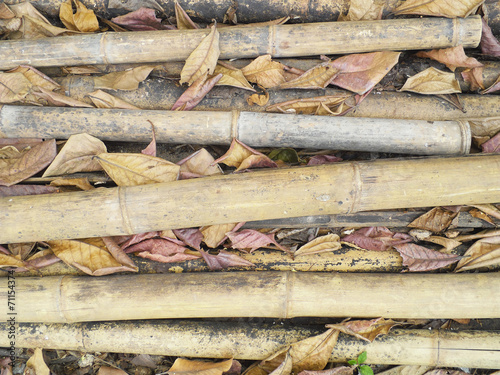 Naklejka stary bambus azjatycki zły