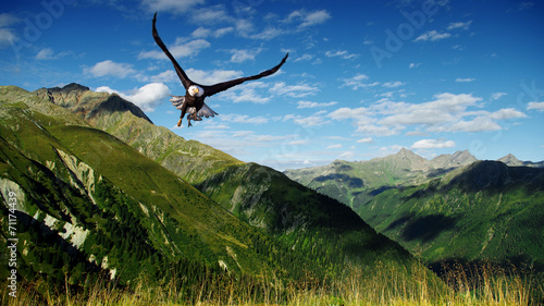 Plakat europa alpy ptak