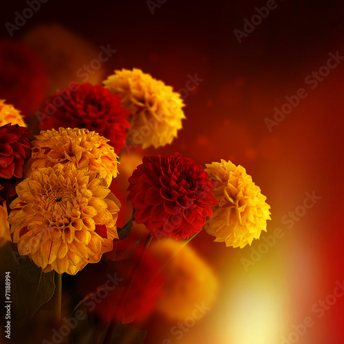 Fototapeta roślina wzór kwiat jesień bukiet