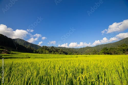 Fototapeta lato niebo góra łąka wzgórze