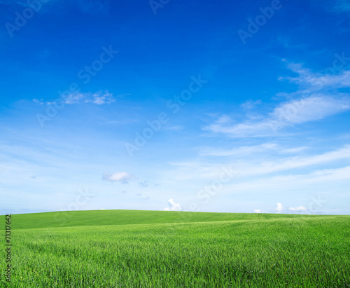Plakat panoramiczny wiejski widok łąka natura