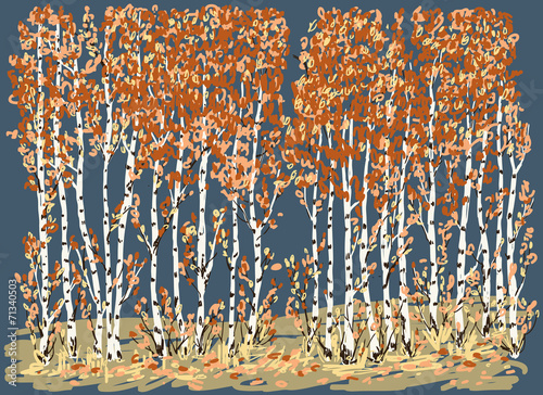 Obraz na płótnie jesień gałązka brzoza las drzewa