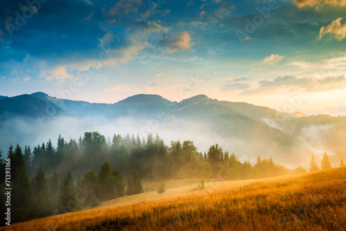 Fotoroleta piękny widok dolina trawa ukraina