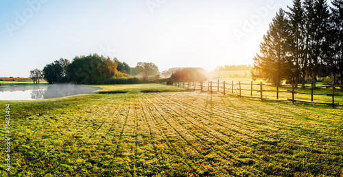 Naklejka widok pole trawa pastwisko