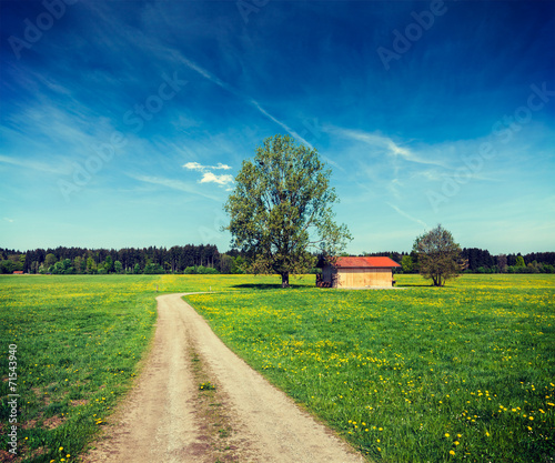 Fotoroleta wieś wiejski pole