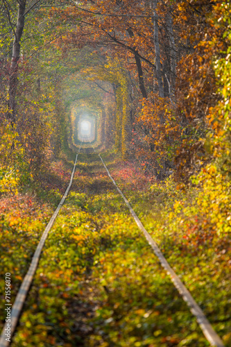 Fotoroleta jesień tunel transport