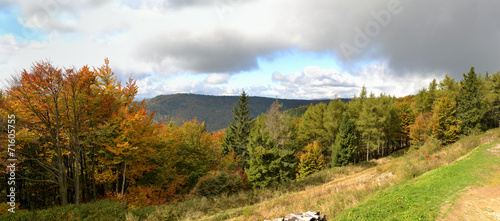 Fotoroleta jesień perspektywa góra panorama