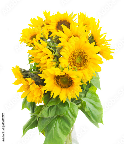 Naklejka bukiet kwiat słonecznik rolnictwo