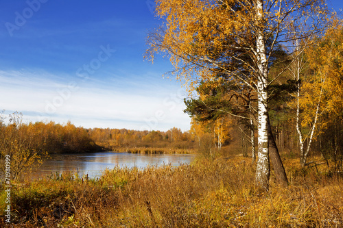 Obraz na płótnie woda piękny las jesień