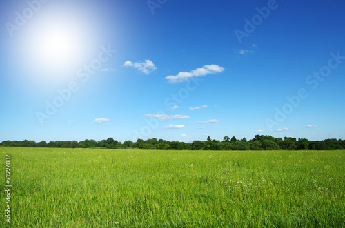 Fototapeta lato niebo rolnictwo natura wzgórze