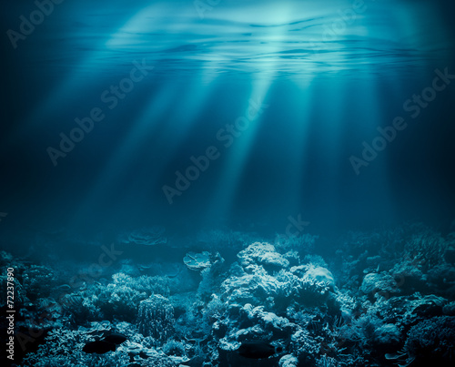 Fotoroleta koral podwodne morze