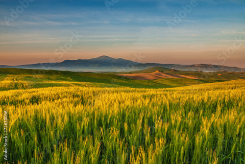 Obraz na płótnie wiejski wzgórze włoski natura