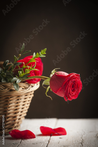 Fotoroleta pąk miłość piękny kwiat