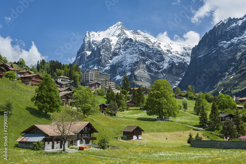 Fototapeta panorama natura szwajcaria
