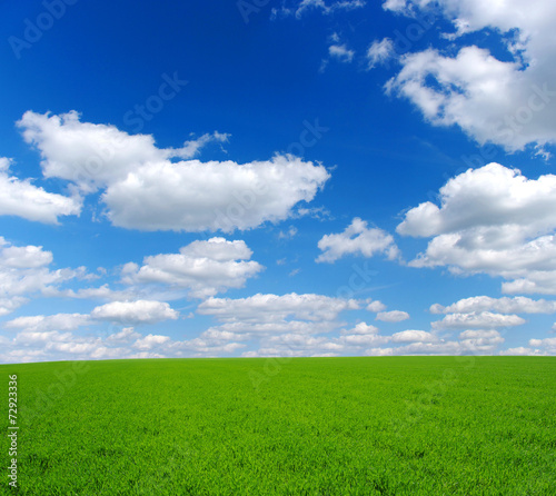 Fotoroleta łąka pole niebo rolnictwo