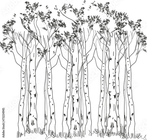 Obraz na płótnie drzewa wzór warzywo