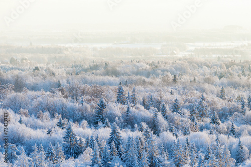 Fotoroleta wieś śnieg bezdroża natura