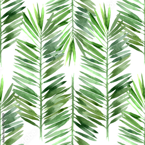 Plakat lato roślina drzewa obraz