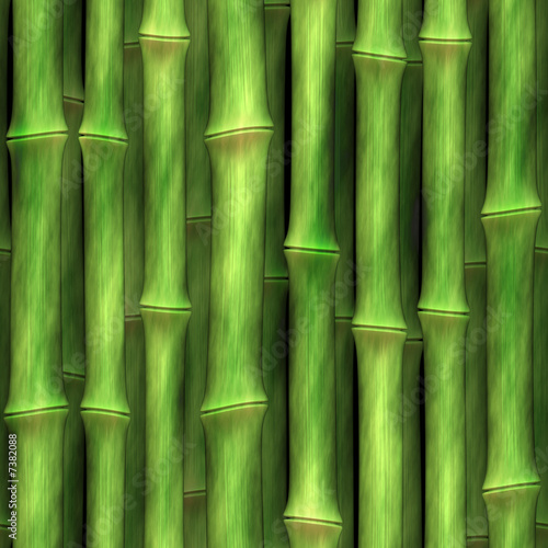 Plakat bambus dziki las