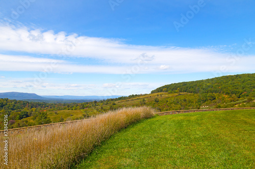 Fototapeta pole jesień panoramiczny natura drzewa
