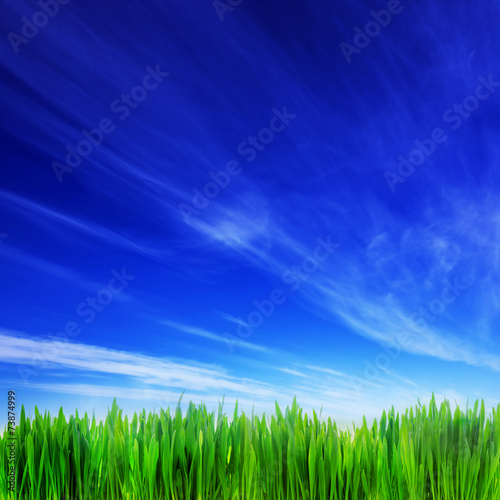 Fotoroleta łąka natura niebo pejzaż błękitne niebo