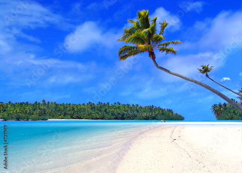 Naklejka morze tropikalny drzewa wyspa słońce