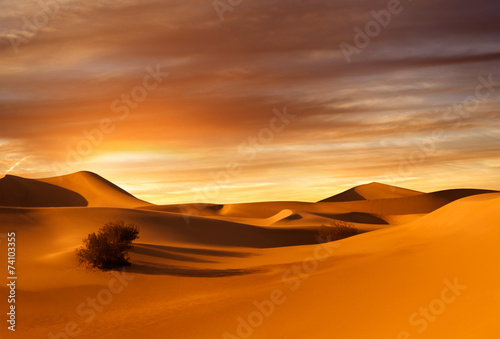 Obraz na płótnie pustynia wzgórze arabian