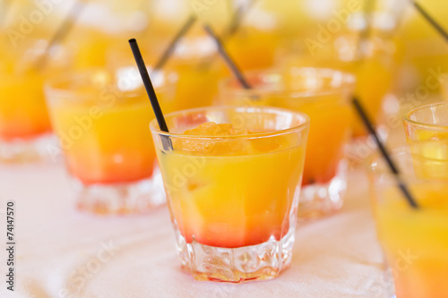 Obraz na płótnie owoc napój alkoholowych koktajl