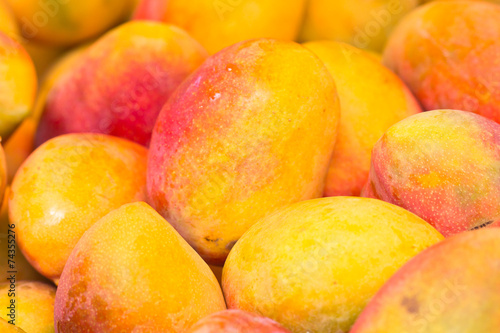 Fotoroleta owoc egzotyczny jeżyna żółty mango