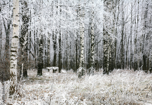 Fototapeta śnieg rosja jesień