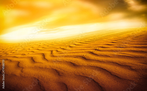 Naklejka pejzaż pustynia widok