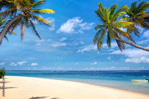 Obraz na płótnie tropikalny natura zatoka plaża drzewa