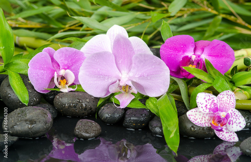 Plakat masaż kwiat azjatycki medycyna wellnes