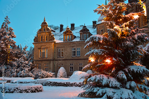 Fototapeta drzewa śnieg zamek renesans zimą