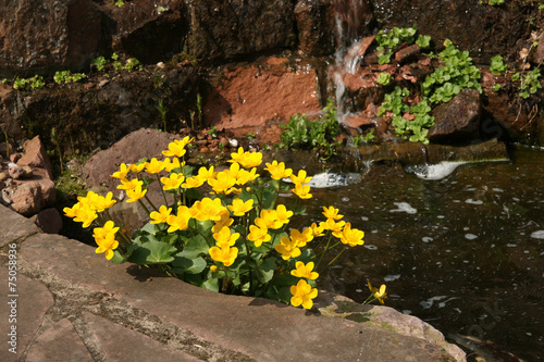 Naklejka woda wodospad kwiat ogród