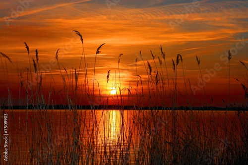 Obraz na płótnie Zachód słońca nad jeziorem