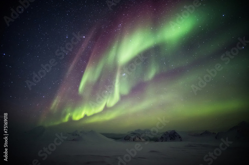 Fototapeta północ skandynawia norwegia alaska gwiazda