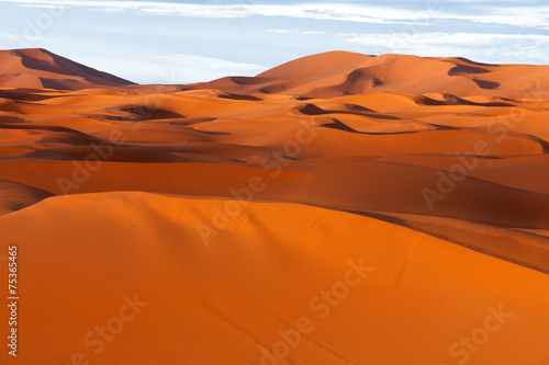 Plakat afryka wydma góra pustynia krzew