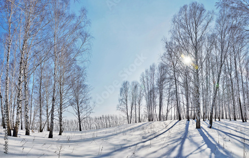 Obraz na płótnie pejzaż pole śnieg