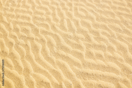 Fotoroleta wydma wzór pustynia lato fala