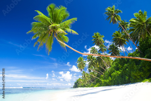 Plakat raj palma plaża lato
