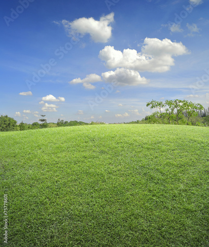 Naklejka krajobraz świeży łąka