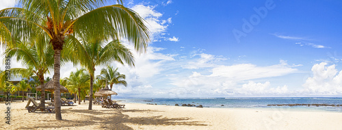 Fototapeta koral palma leżak plaża niebo