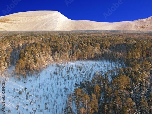 Fotoroleta śnieg drzewa lód widok góra