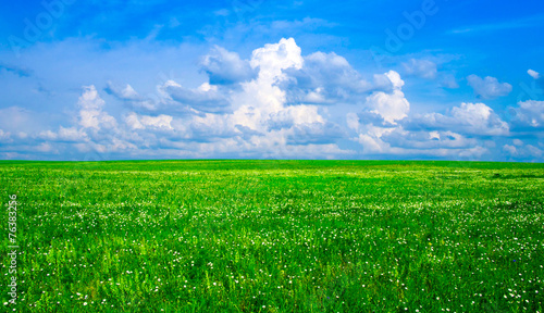 Plakat wiejski trawa niebo